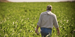Viewpoint: Pro-Trump farmers struggle, some face bankruptcy with cancellations of agriculture-friendly programs